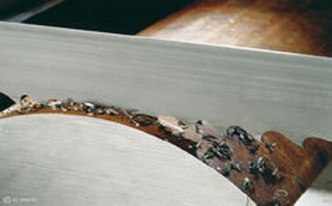 哈尔滨带锯床线速度设定过高，为什么会导致带锯条齿尖发热加速锯条的磨损？